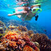Woman with mask snorkeling in clear water over vivid coral reef.jpg