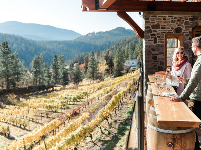 Places You Can Tour Wine Country Close to Home