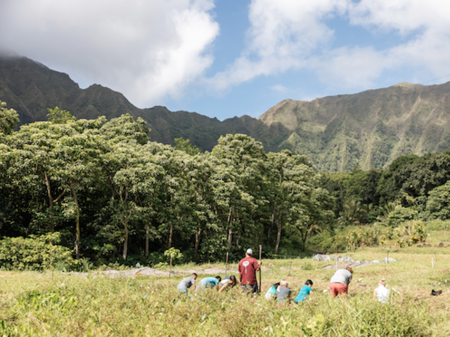 Malama Hawaii Program: Giving Back on a Trip to Paradise