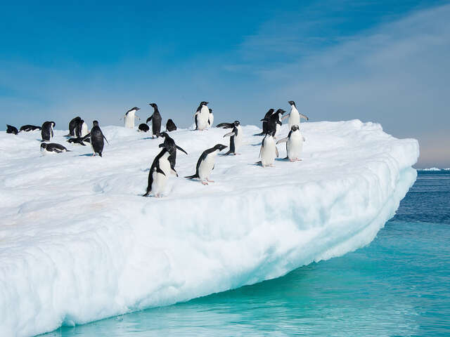 5 opportunities for unique adventures in Antarctica