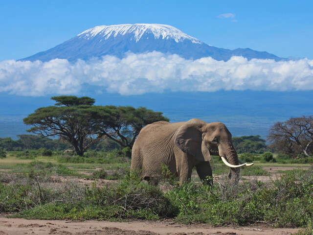 Things To Do When On An Adventure Tour In The Amboseli National Park