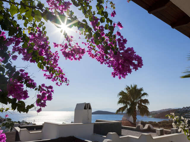 5 Things You Need To Know About Bodrum