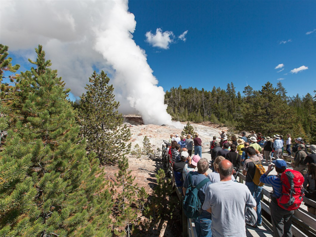 The World's Tallest Geyser Is At It Again